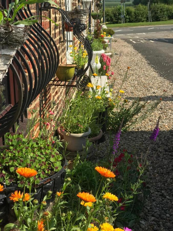 Kirklevington Yarm Cottages Sleeping 12 المظهر الخارجي الصورة